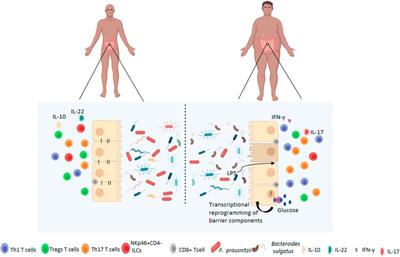 Possible Benefits of Faecalibacterium prausnitzii for Obesity-Associated Gut Disorders